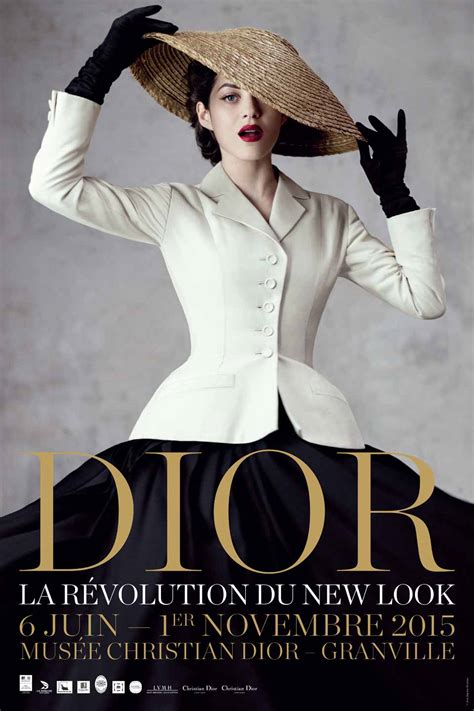 dior new look impact